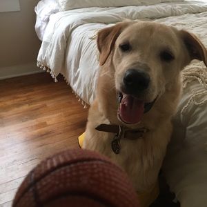 Meet your Posher, Tori